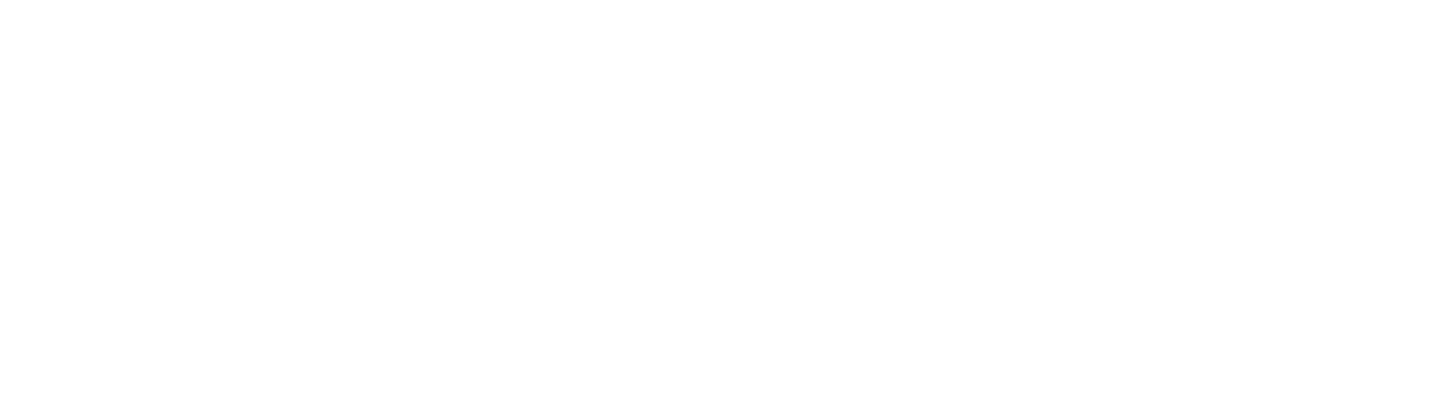 Lider Premium